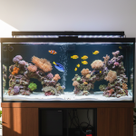 fish tank glass without chemicals