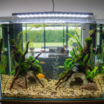 how to clean aquarium gravel before use
