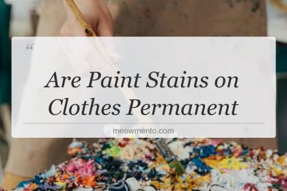 are paint stains on clothes permanent
