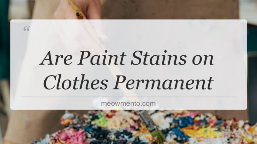 are paint stains on clothes permanent
