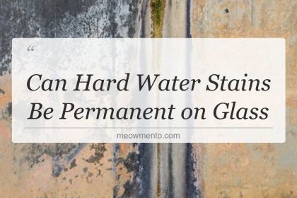 can hard water stains be permanent on glass