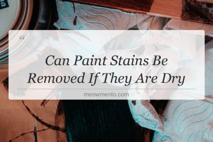 can paint stains be removed if they are dry