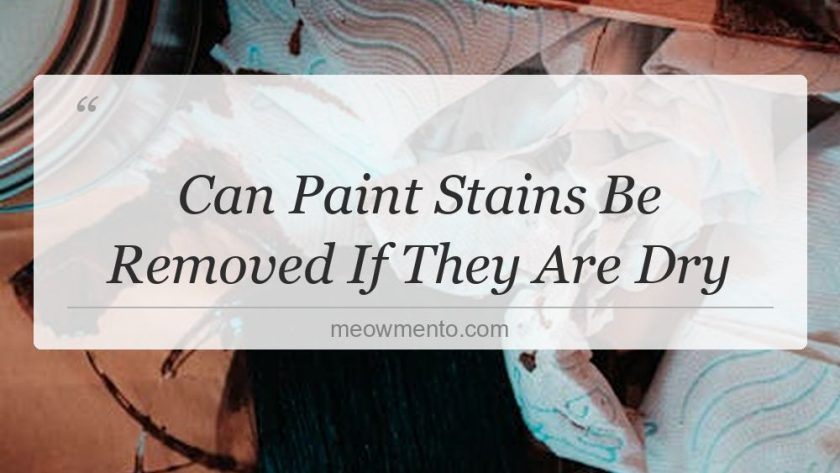 can paint stains be removed if they are dry