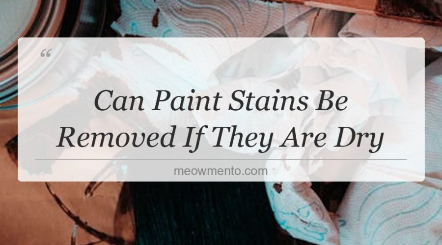 can paint stains be removed if they are dry