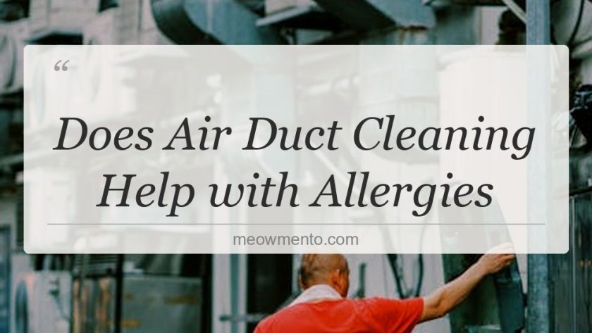 does air duct cleaning help with allergies