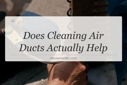 does cleaning air ducts actually help