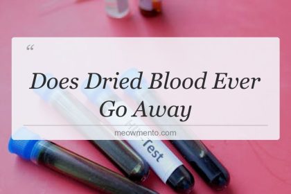 does dried blood ever go away