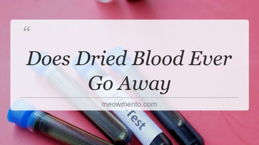 does dried blood ever go away
