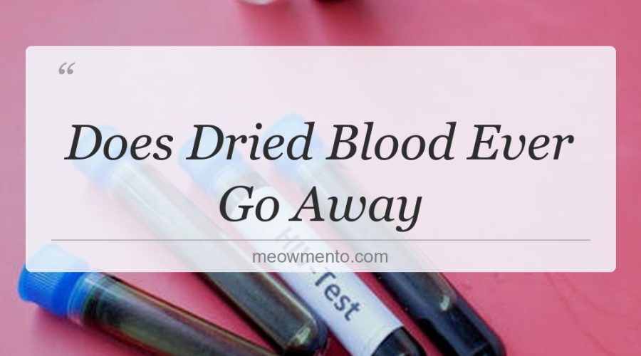 does dried blood ever go away