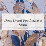 does dried pee leave a stain