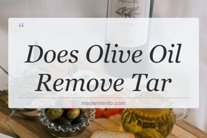 does olive oil remove tar