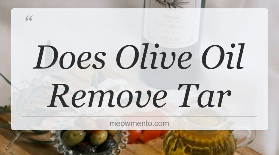 does olive oil remove tar