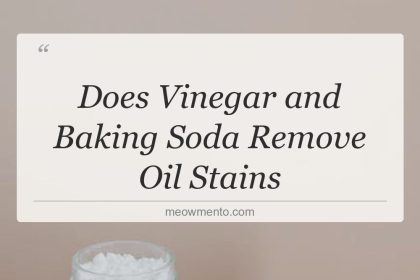 does vinegar and baking soda remove oil stains