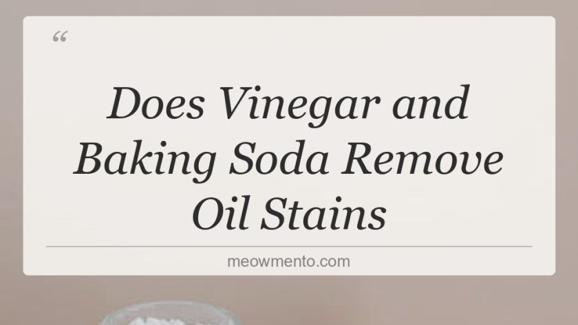 does vinegar and baking soda remove oil stains
