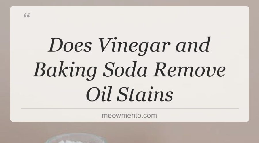 does vinegar and baking soda remove oil stains