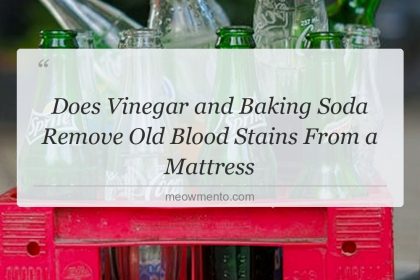 does vinegar and baking soda remove old blood stains from a mattress