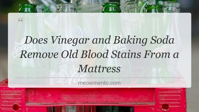 does vinegar and baking soda remove old blood stains from a mattress