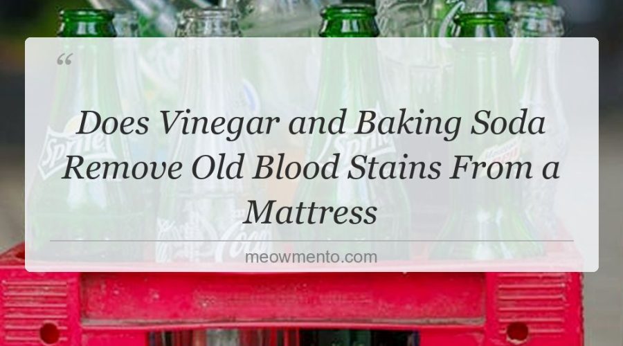 does vinegar and baking soda remove old blood stains from a mattress