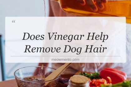 does vinegar help remove dog hair