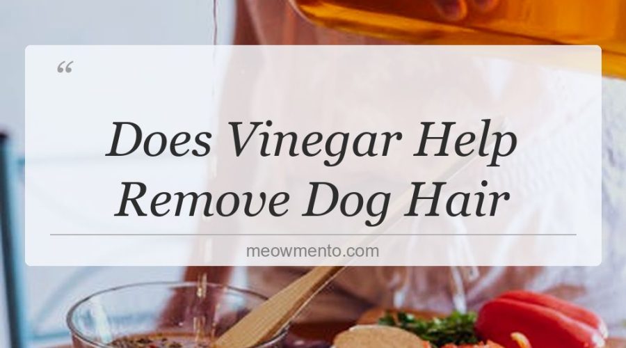does vinegar help remove dog hair