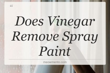 does vinegar remove spray paint