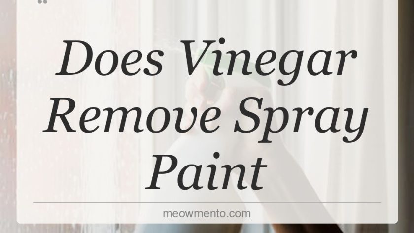 does vinegar remove spray paint