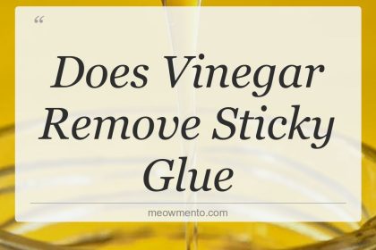 does vinegar remove sticky glue