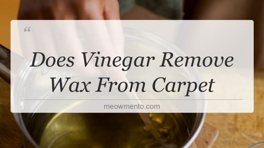 does vinegar remove wax from carpet