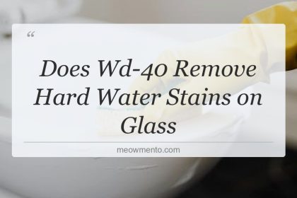 does wd 40 remove hard water stains on glass