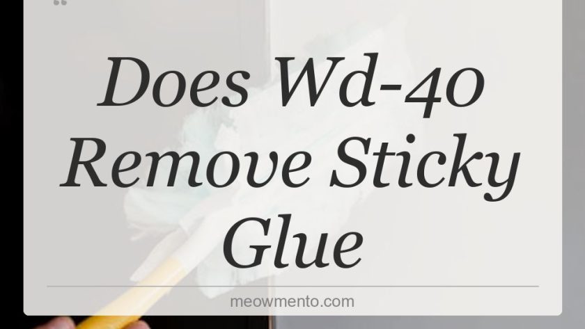 does wd 40 remove sticky glue