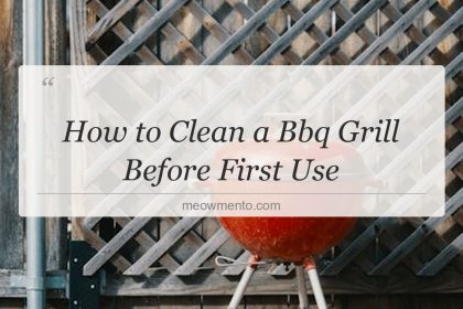 how to clean a bbq grill before first use