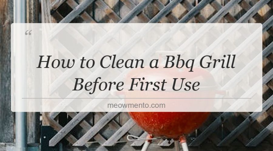 how to clean a bbq grill before first use