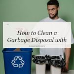 how to clean a garbage disposal with