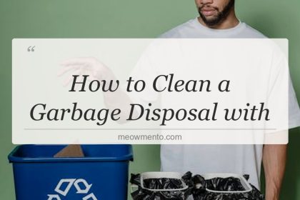 how to clean a garbage disposal with