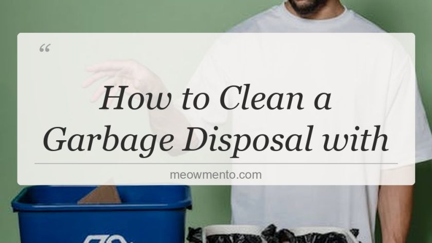 how to clean a garbage disposal with