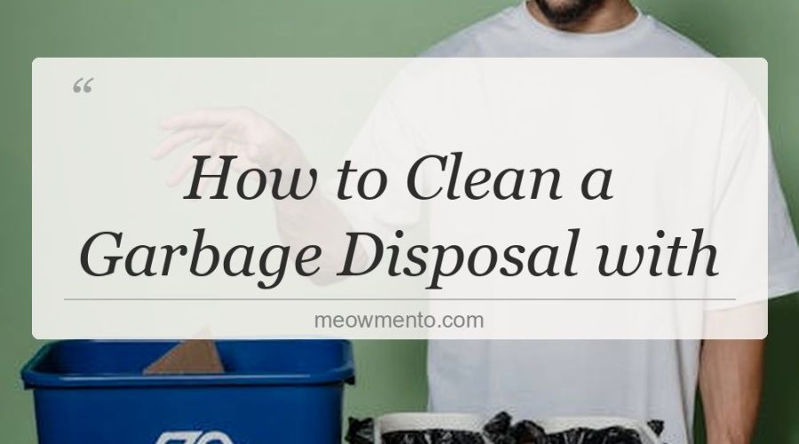 how to clean a garbage disposal with
