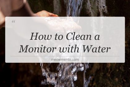 how to clean a monitor with water