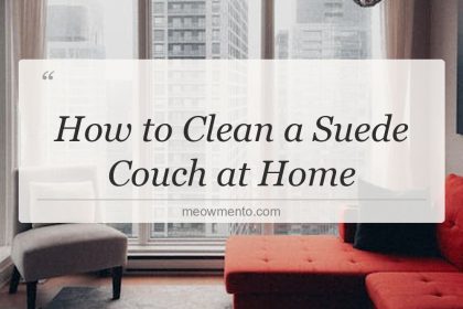 how to clean a suede couch at home