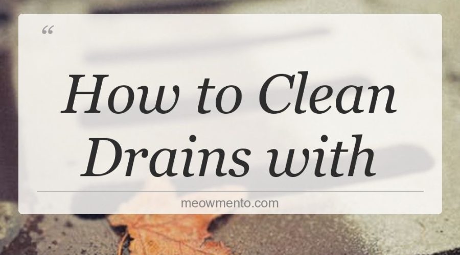 how to clean drains with