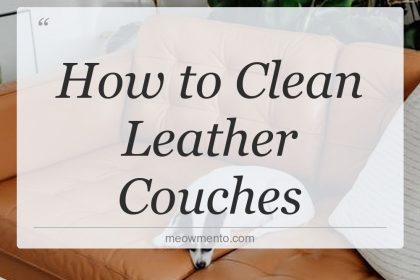 how to clean leather couches