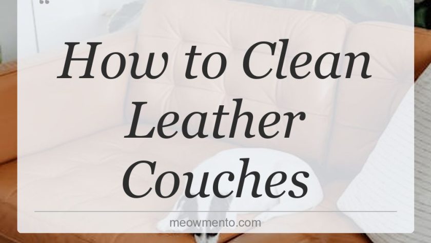 how to clean leather couches