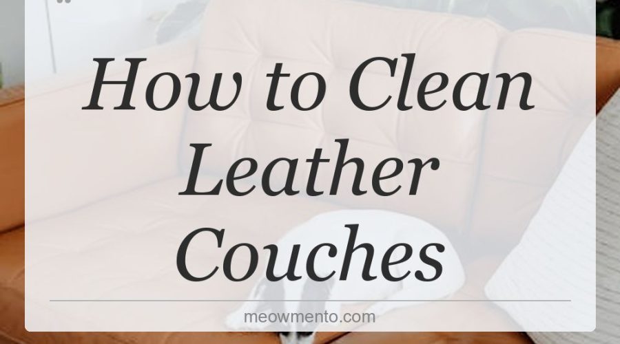 how to clean leather couches