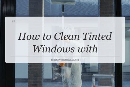 how to clean tinted windows with