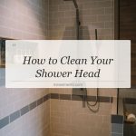 how to clean your shower head