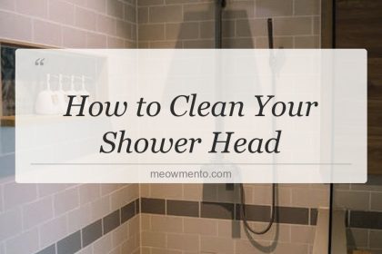 how to clean your shower head