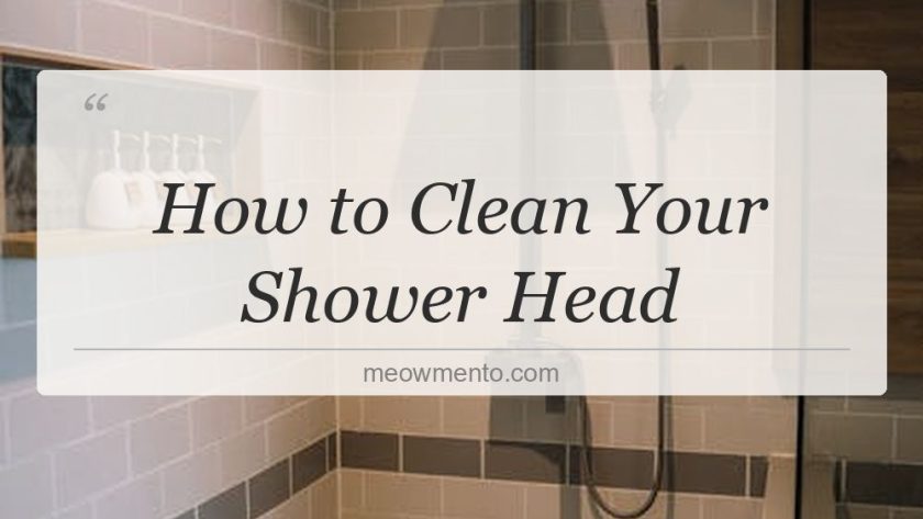 how to clean your shower head