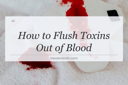 how to flush toxins out of blood