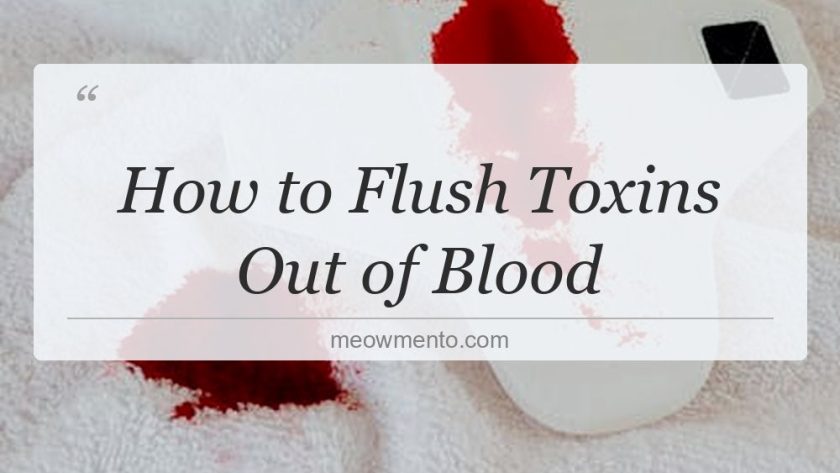 how to flush toxins out of blood