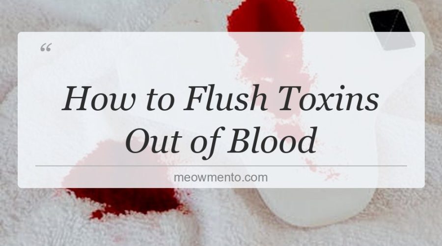 how to flush toxins out of blood