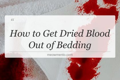 how to get dried blood out of bedding